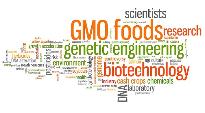 Image result for gmo